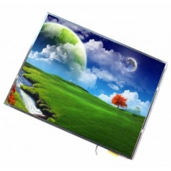 Display Laptop LTN141XB-L02, 14.1inch, Grad B, Mat, 1024x768